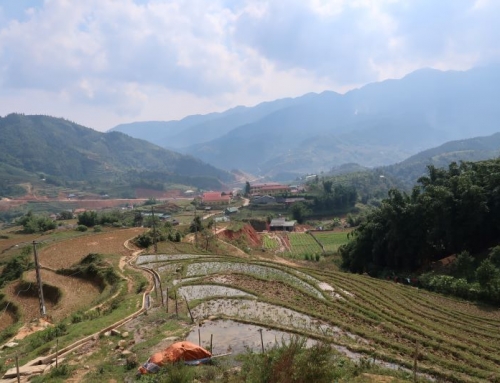 Sapa